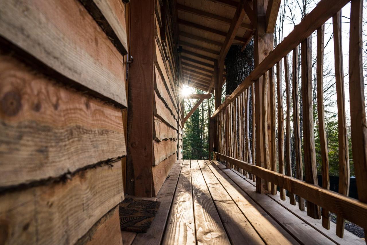 Charmante Cabane Dans Les Arbres Avec Jacuzzi Et Sauna Boismorand Exterior photo