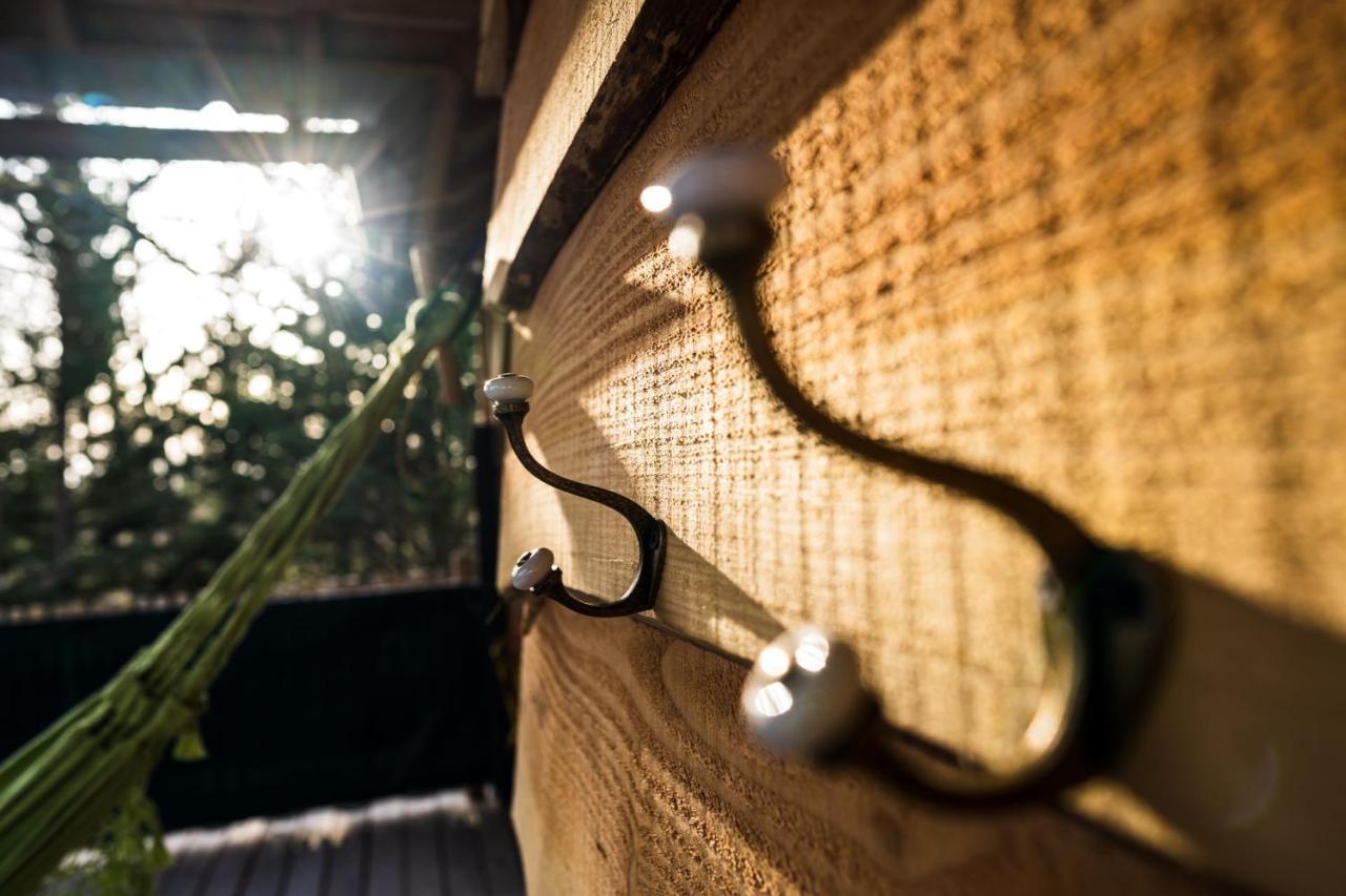 Charmante Cabane Dans Les Arbres Avec Jacuzzi Et Sauna Boismorand Exterior photo