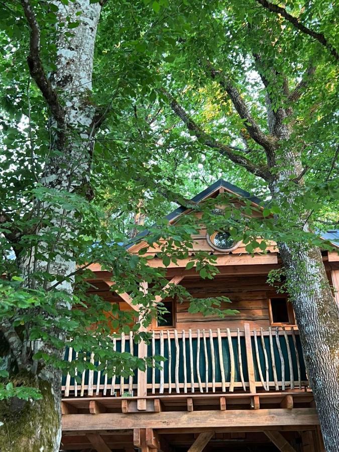 Charmante Cabane Dans Les Arbres Avec Jacuzzi Et Sauna Boismorand Exterior photo
