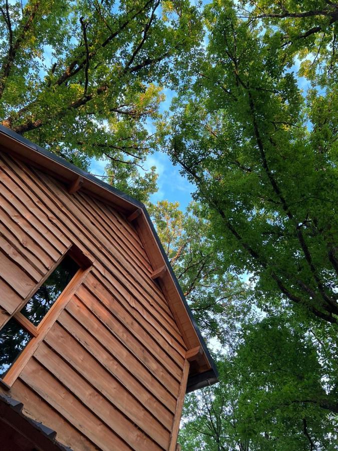 Charmante Cabane Dans Les Arbres Avec Jacuzzi Et Sauna Boismorand Exterior photo