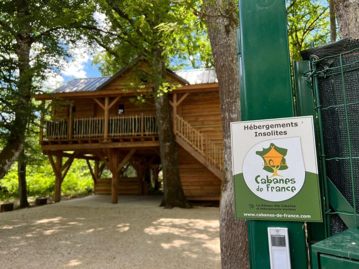 Charmante Cabane Dans Les Arbres Avec Jacuzzi Et Sauna Boismorand Exterior photo