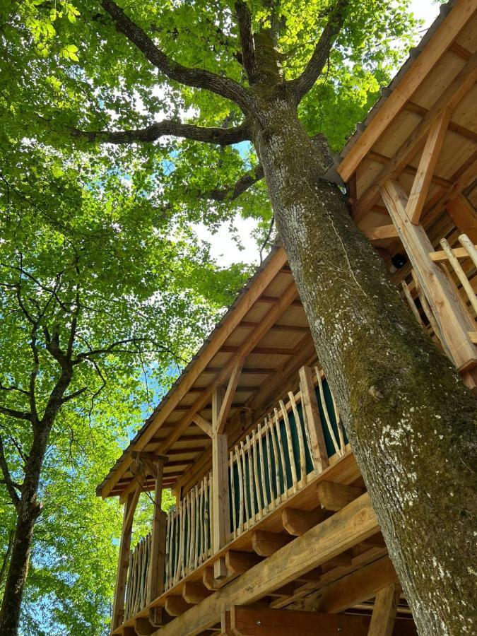 Charmante Cabane Dans Les Arbres Avec Jacuzzi Et Sauna Boismorand Exterior photo