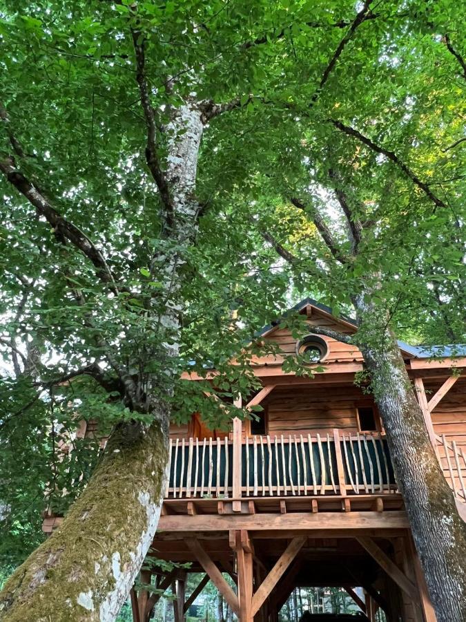 Charmante Cabane Dans Les Arbres Avec Jacuzzi Et Sauna Boismorand Exterior photo