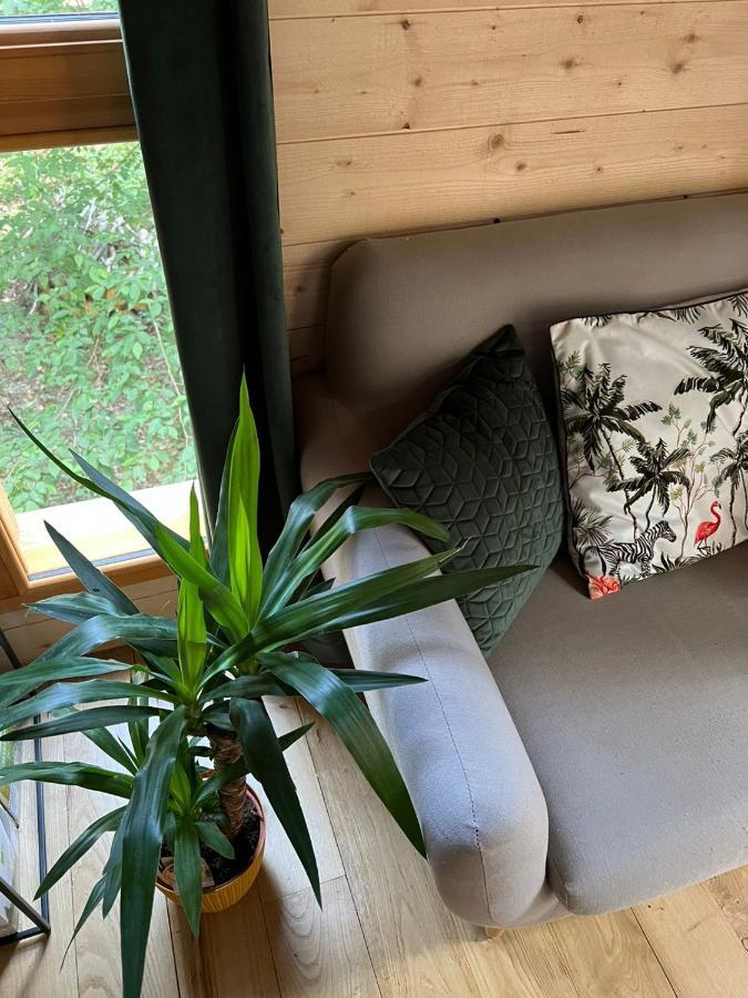 Charmante Cabane Dans Les Arbres Avec Jacuzzi Et Sauna Boismorand Exterior photo